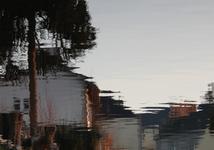 reflections from the lake